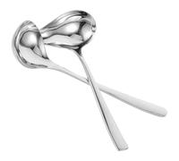 Lurrose Lot de 2 Set de Louches à Sauce en Acier Inoxydable Bec Verseur, Cuillères Multifonctions Cuisine et Restauration, Manche Long Ergonomique, pour Sauces, Vinaigrettes et Desserts