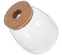 Lurrose Lot de 2 Vases de Culture Hydroponique en Verre avec Bouchon en Liège Percé, Grand Format, pour Propagation de Plantes D’intérieur, Décoration Terrarium Bureau Maison, Récipient