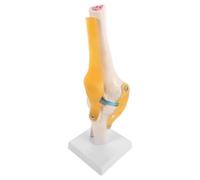 Lurrose Modèle anatomique de l'articulation du genou humain, 28 x 13 x