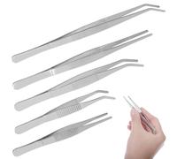 Lurrose Pinces à épiler en acier inoxydable 5pcs pour succulentes et petite plantation | Outils de jardinage pratiques pour amateurs de fleurs en bureau et jardin
