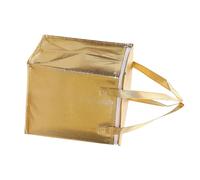 Lurrose Pochette Isotherme Alimentaire Thermique Double Couche 10 Pouces Doré en Aluminium Fermeture Éclair, pour Gâteaux, Pizzas et Plats à Emporter, Adaptée aux Pique-Niques et