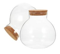 Lurrose Terrarium Écologique en Verre Transparent 200Ml Bouchon en Liège Pot Micro Paysage pour Plantes et Déco Intérieure Lot de 2 Bouteilles Hermétiques 13 CM