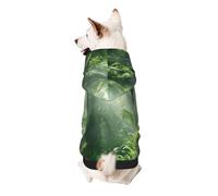 Lush Forest Sweat à capuche en polyester doux et respirant pour petits chiens, garçons et filles