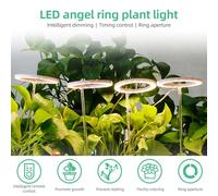 L'usine d'intérieur élèvent des Lampes croissantes d'usine de luminosité de 5 Dimmable alimentées par USB de 4 têtes (Lumière Violette Rose)