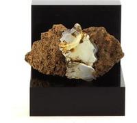 LUSSATITE - Opale Naturelle en Provenance de France, Dallet - Pierre précieuse rare, variété d'Opale-CT, 88.34 ct - Certificat d'Authenticité Inclus 34 x 18 x 18 mm G