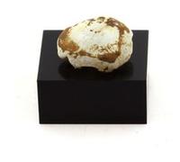 LUSSATITE - Opale Naturelle en Provenance de France, Dallet - Pierre rare et lumineuse, variété d'Opale-CT 15.26 ct - Certificat d'Authenticité Inclus 15 x 14 x 6 mm G