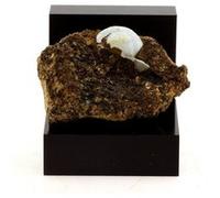 LUSSATITE - Pierre Naturelle en Provenance de France, Dallet - Opale-CT, variété d'Opale rare et multicolore - 59.1 ct - Certificat d'Authenticité