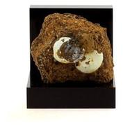 LUSSATITE - Pierre Naturelle en Provenance de France, Dallet - Opale-CT, variété d'Opale rare et multicolore 82.7 ct - Certificat d'Authenticité Inclus 40 x 34 x 20 mm Multicolore G