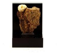 LUSSATITE - Pierre Naturelle en Provenance de France, Dallet - Opale-CT, variété rare d'Opale multicolore 25.5 ct - Certificat d'Authenticité Inclus 31 x 24 x 12 mm Multicolore G