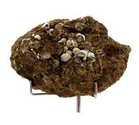 LUSSATITE - Pierre Naturelle en Provenance de France, Lempdes - Opale-CT, variété d'Opale rare et multicolore 618.8 ct - Certificat d'Authenticité Inclus 80 x 53 x 38 mm Multicolore G