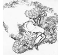 Lust for Life, Or: ‘how to Thread the Needle and Come Out the Other Side to Tell the Story’
