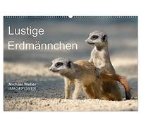 Lustige Erdmännchen (Wandkalender 2026 DIN A2 quer), CALVENDO Monatskalender: Lustige Fotos von jungen Erdmännchen