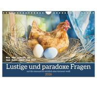 Lustige und paradoxe Fragen (Wandkalender 2026 DIN A4 quer), CALVENDO Monatskalender: auf die niemand so wirklich eine Antwort weiß