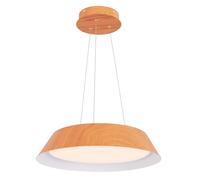 Lustre à Éclairage LED suspendu de 40 Cm 21 W 3000 K