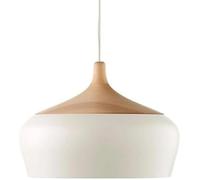 Lustre de Style Industriel Nordique, Abat-Jour en Aluminium à personnalité créative, Source Lumineuse E27, Lampe Suspendue à Une tête, décoration de Bureau, de Magasin de vêtements, de Grange