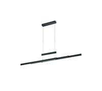 Lustre Moderne À Led Extensible Noir TR018