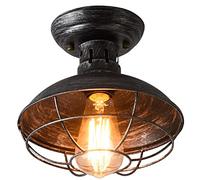 DCJJC Lustre, Plafonnier Semi-encastré V-intage créatif à tête Unique en Maille de Fer for Balcon, Couloir, escalier, Hall d'entrée, Cuisine(D)