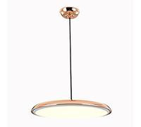 Lustre Suspendu, lustres LED Nordiques Modernes, Lustre à tête Unique, créatif, pour Restaurant, Chambre, Bar, comptoir, Couloir, canapé, Porche, Balcon, loft, Fer forgé, Acrylique, lumière LED suspe