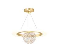 Lustres d'intérieur ronds simples modernes Suspension LED 20W Doré Lumière Chaude 25cm Le fil suspendu est une lampe suspendue réglable de 100 cm Utilisé pour la décoration du balcon du vestiaire.