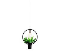 Lustres, Moderne Simple Créatif En Fer Pour Plantes Et Pots de Fleurs, Pour Restaurant, Magasin de Vêtements, Librairie, Café, Restaurant, Décoration Végétalependue, Classe Énergétique/B/A