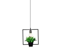 Lustres, Moderne Simple Créatif En Fer Pour Plantes Et Pots de Fleurs, Pour Restaurant, Magasin de Vêtements, Librairie, Café, Restaurant, Décoration Végétalependue, Classe Énergétique/A/A