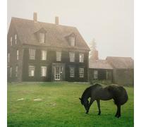 Lutalo - The Academy (Meadow Green Vinyl)