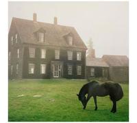 Lutalo - The Academy - Meadow Green [Vinyl Lp] Colored Vinyl