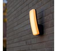 Lutec Kite Applique murale à 1 source lumineuse, LED, 5203301345,