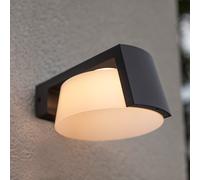 Lutec Moon Applique murale à 1 source lumineuse, LED, 5206001118,