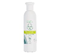 Lutescens - Shampooing Cheveux Gras - Bio - 250ml