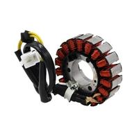 LUTFI Bobine d'allumage Bobine De Stator D'allumage De Générateur De Moto, pour CH250 Elite KAB FES250 pour Prospective NSS250 pour Forza NSS 250 MF06