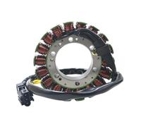 LUTFI Bobine d'allumage Kit D'assemblage De Bobine De Stator De Générateur De Moto, pour F650GS 2009 - 2014 F700GS F800R F800S F800GS F800ST F800GT F 800 GS St R