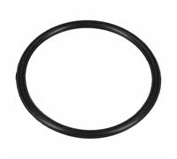 LUTH Premium Profi Parts Compatible avec Beko 1766470100 Joint torique Ø 76 mm pour réservoir à sel dans lave-vaisselle