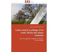 Lutte Contre Le Pillage Et Le Trafic Illicite Des Biens Culturels