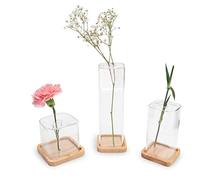 LUUK LIFESTYLE Ensemble de 3 vases Cube décoratifs en Verre, Design carré Minimaliste, Transparent, Style Vintage, Support en Bois