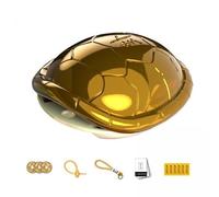 Luwecf 2x Mini Tortue Feng Shui Ornement pour