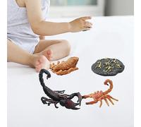 Luwecf 3x Figurines Du Cycle de Vie Du Scorpion, Ensemble Du Cycle de Vie Des Animaux, Jouet Cognitif, Accessoire D'apprentissage, Jouet éducatif Réaliste Po