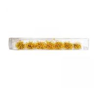 Luwecf 4x7 Éléments 1/35 1/48 1/72 1/87 Végétation Miniature Fleurs Bricolage Touffe D'herbe pour Décor de Jardin Modèle de Paysage