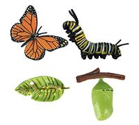 Luwecf Jouet Éducatif sur le Cycle de Croissance des Insectes pour Préscolaires