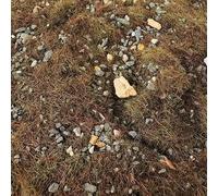 Luwecf Simulation D'herbe 3x, pour Dioramas de Trains Miniatures et Jardins Féeriques