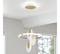 Luxe 40/60cm Plafonniers Suspensions Lustre Plafonnier LED 2700K/4500K/6500K Spot Suspension 3 températures de couleur Réglable en hauteur