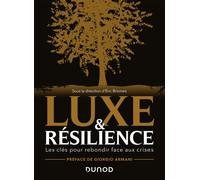 Luxe et résilience Les clés pour rebondir face aux crises - Eric Briones (dit Darkplanneur) - Dunod - broché - Etude