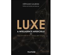 Luxe & intelligence artificielle Opportunités et révolution des usages - Stéphane Galienni - Dunod - broché - Etude