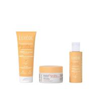 Luxéol - Coffret Protocole Réparateur Moléculaire Voyage