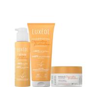 LUXEOL - Protocole Réparateur Moléculaire - Répare la Fibre Capillaire en Surface et en Profondeur - Shampooing (200 ml) + Masque (200 ml) + Sérum (100 ml) - Fabriqué En France