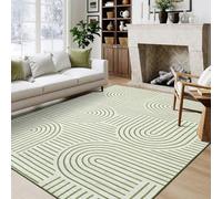 LuxFocus Tapis de salon lavable 200 x 290 cm, moderne et neutre - Grand tapis de chambre à coucher - Tapis doux résistant aux taches - Pour salle à manger, bureau, vert