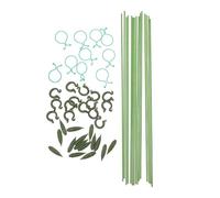 Luxshiny 1 Ensemble Support pour Plantes à Tige Unique Accessoire de Jardinage avec Tiges et Clips pour Plantes Grimpantes pour Créer Un Espace Personnalisé