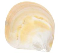 Luxshiny Assiette de Service Multifonction en Coquillage Forme Conque pour Plateau Conservation Caviar et Présentation Culinaire, Facile à Nettoyer, pour Restaurants et Maison