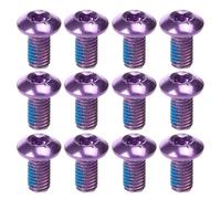 Luxshiny Boîte M5x10 MM Vis de Frein de Vélo en Acier Titane 1 pour Disque