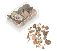 Luxshiny Collection De Minéraux Naturels Échantillons De Pierre Et Fossile Outils Enseignement pour Musées Et Projets Créatifs Boîte
